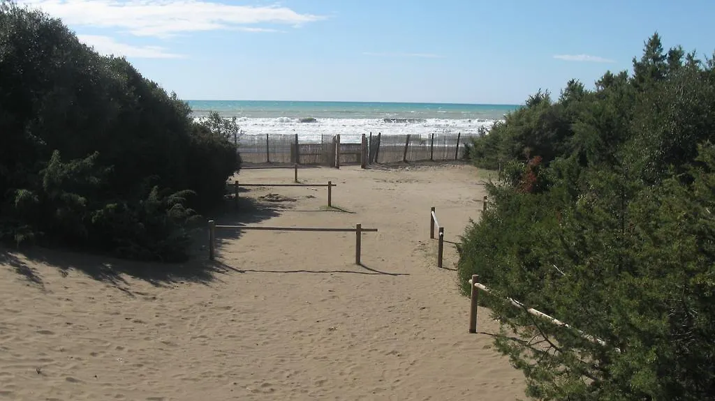 Campsite Camping Continental Marina di Castagneto Carducci Italy