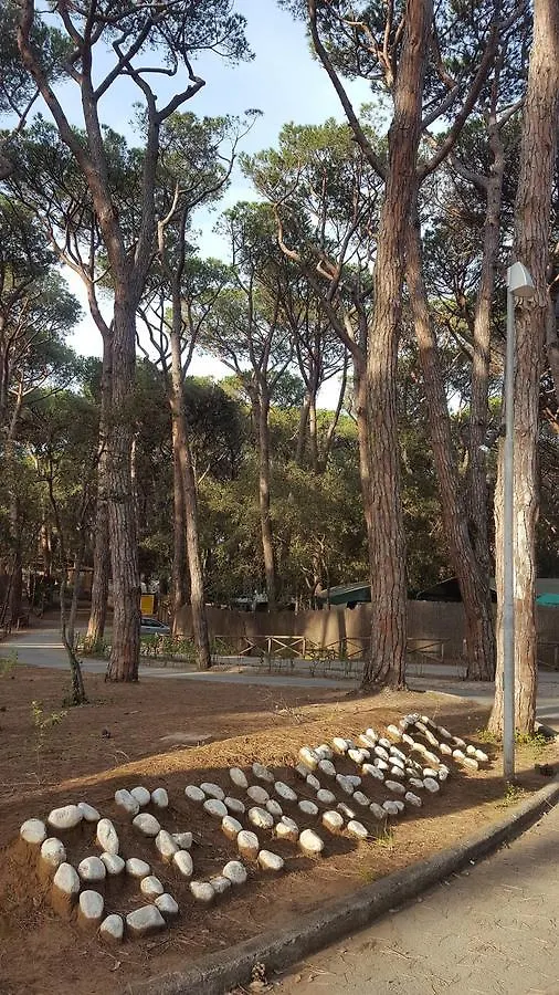 Camping Continental Marina di Castagneto Carducci Campsite